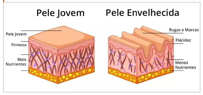 Ilustração comparativa entre pele jovem e pele envelhecida destacando benefícios do Skin Gota