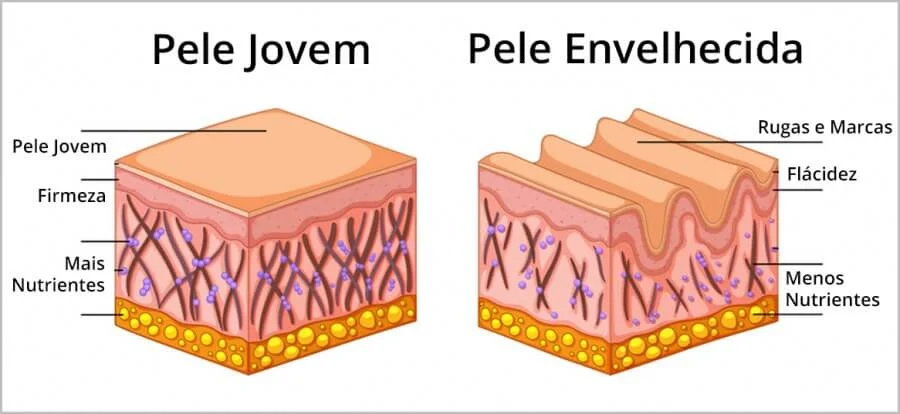 Comparação entre uma pele jovem bem tratada e uma pele envelhecida que é precária em nutrientes essenciais