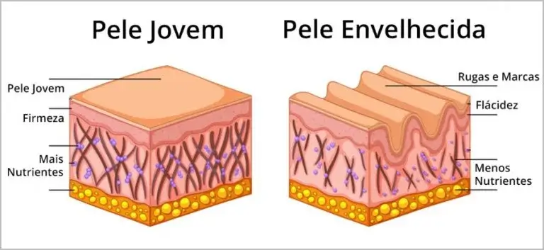 Comparativo de como é uma pele jovem em contraste com a pele envelhecida